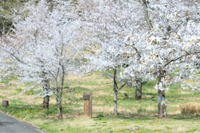 国営武蔵丘陵森林公園_3