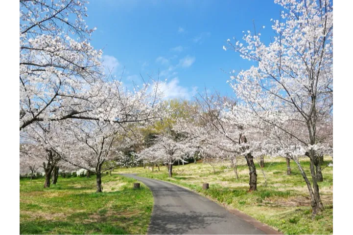 国営武蔵丘陵森林公園_5