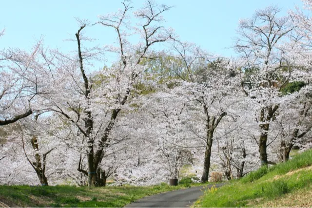 国営武蔵丘陵森林公園