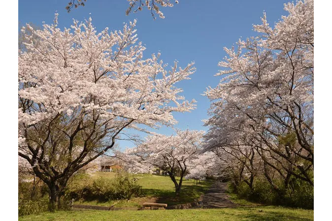 野山北・六道山公園