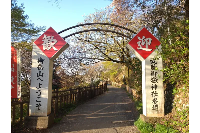 御岳山のゲート山桜