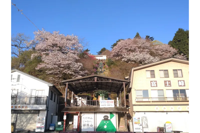 御岳山の桜・花見情報_2