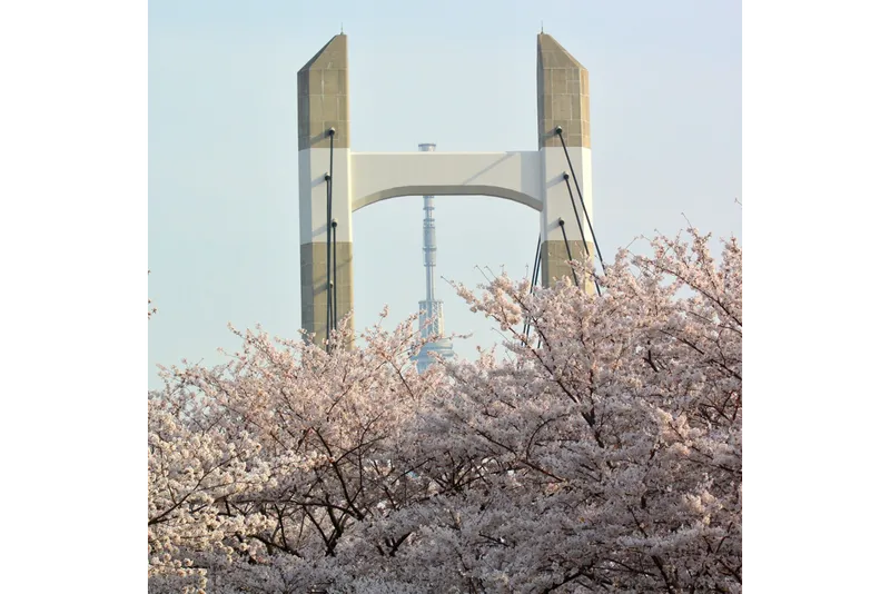木場公園大橋とスカイツリー
