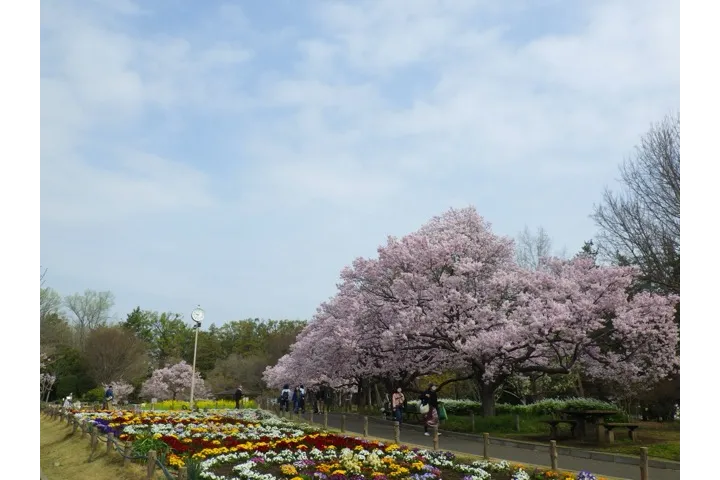 蘆花恒春園_1