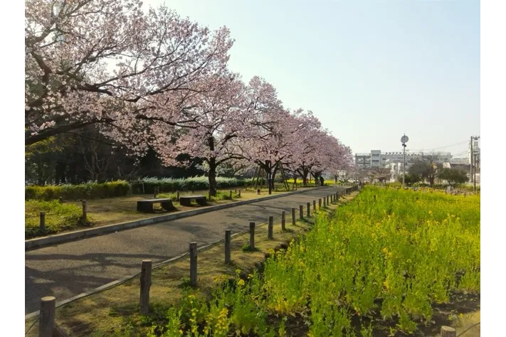 蘆花恒春園_2