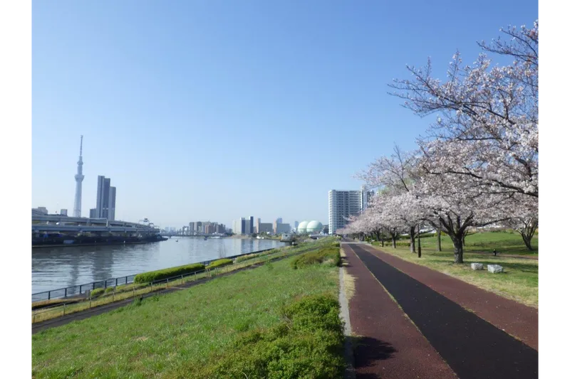 汐入公園_1