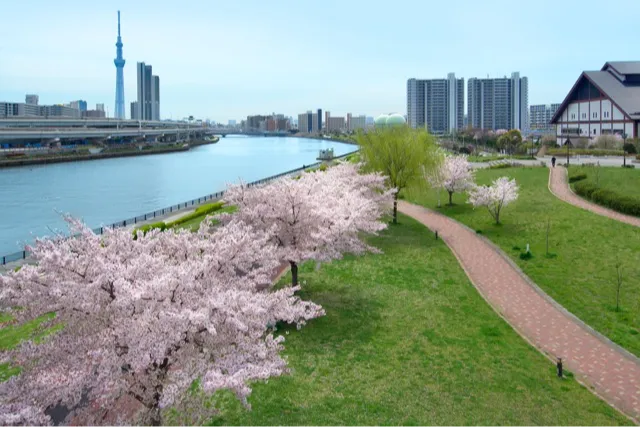 汐入公園_2