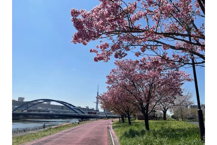 汐入公園_3
