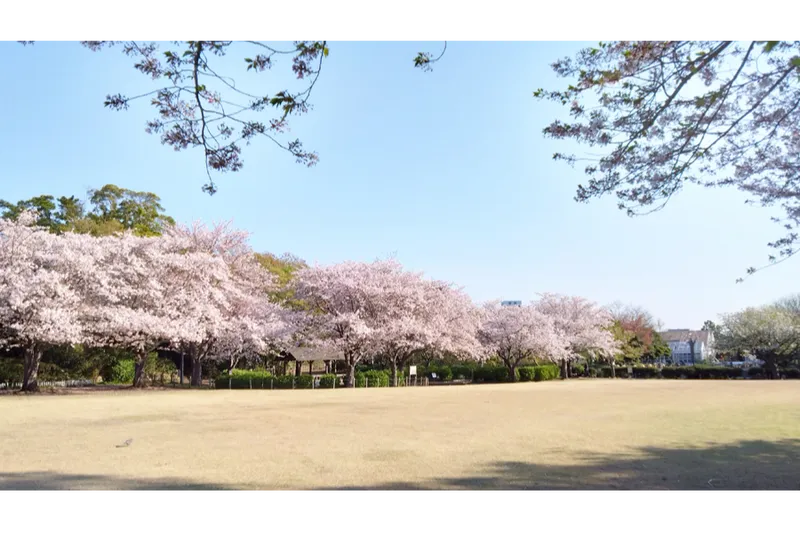 芝生広場