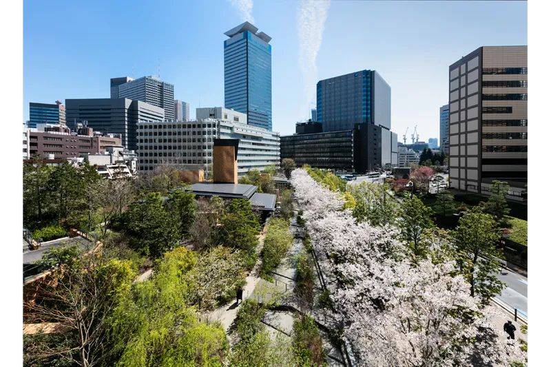 赤坂インターシティAIRの桜・花見情報_2