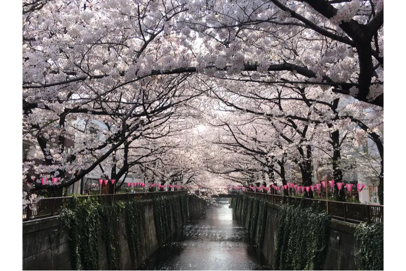 ※画像はイメージです。写真提供：一般社団法人めぐろ観光まちづくり協会