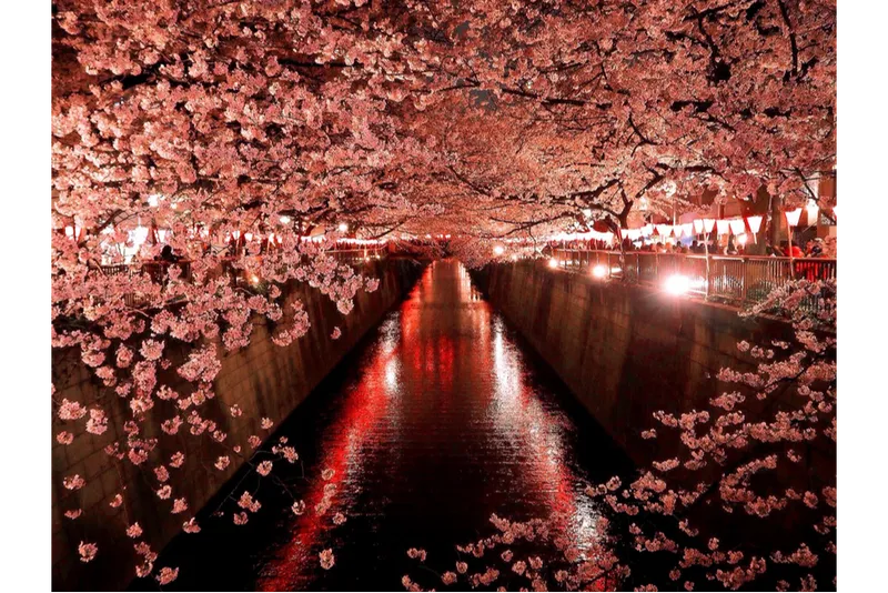 ※画像はイメージです。写真提供：一般社団法人めぐろ観光まちづくり協会