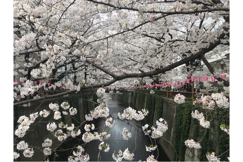 ※画像はイメージです。写真提供：一般社団法人めぐろ観光まちづくり協会