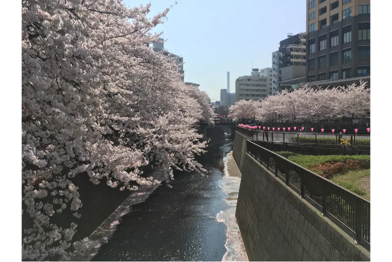 ※画像はイメージです。写真提供：一般社団法人めぐろ観光まちづくり協会