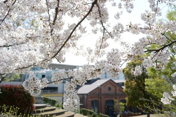 北区立中央公園_1