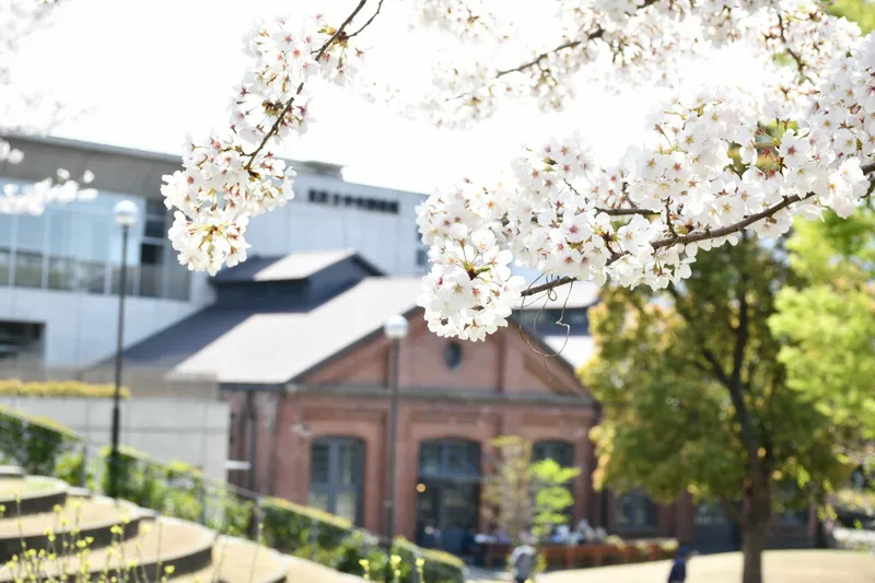 北区立中央公園_2