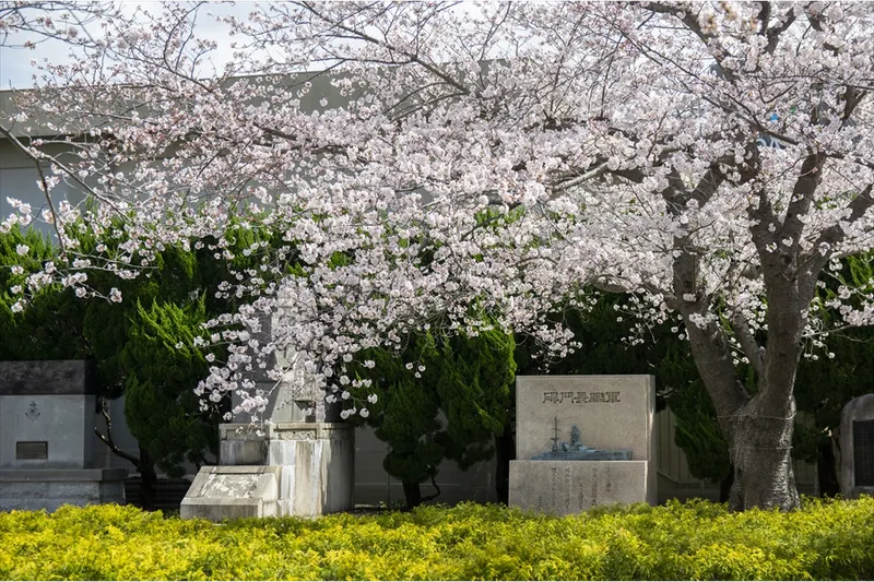 ヴェルニー公園_1