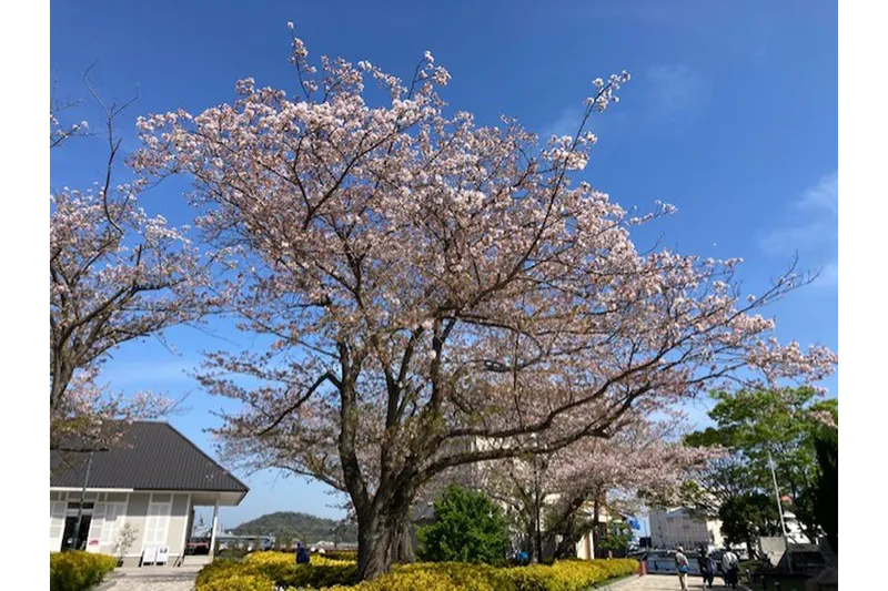 ヴェルニー公園_2