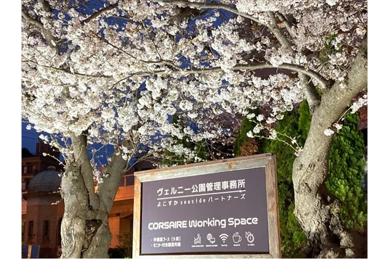 ヴェルニー公園_3