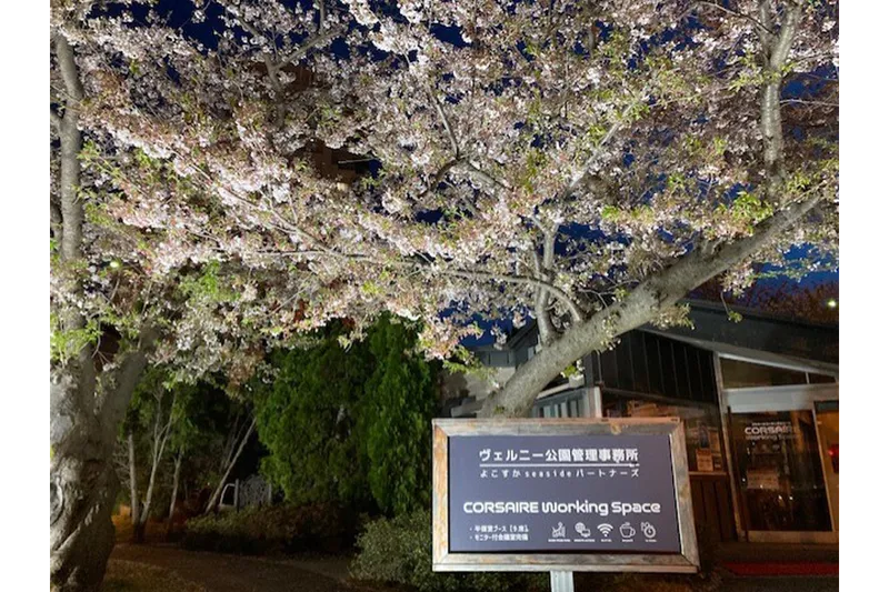 ヴェルニー公園_4