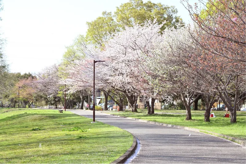 加須はなさき公園(加須はなさき水上公園)_1