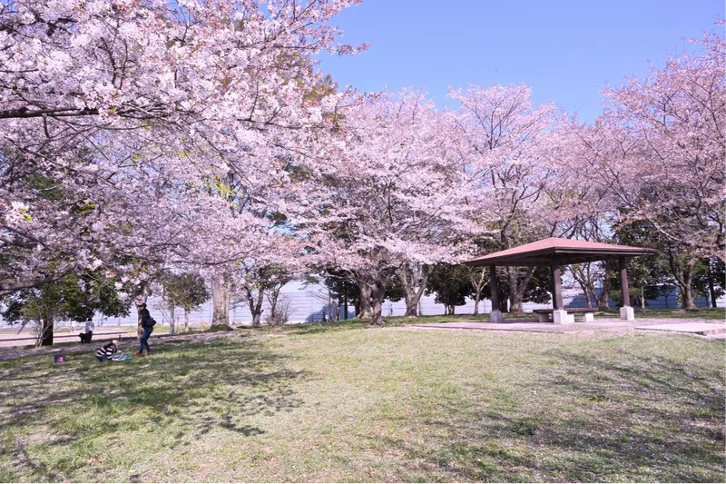 加須はなさき公園(加須はなさき水上公園)_2