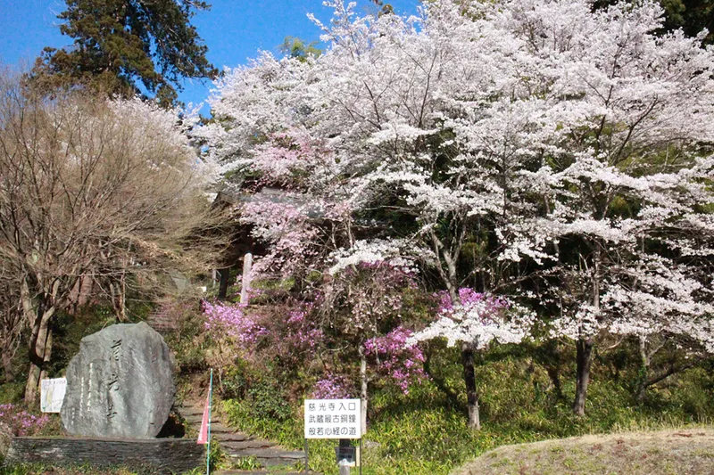慈光山歴史公苑_1