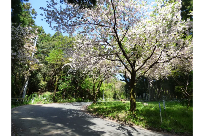 慈光山歴史公苑_3