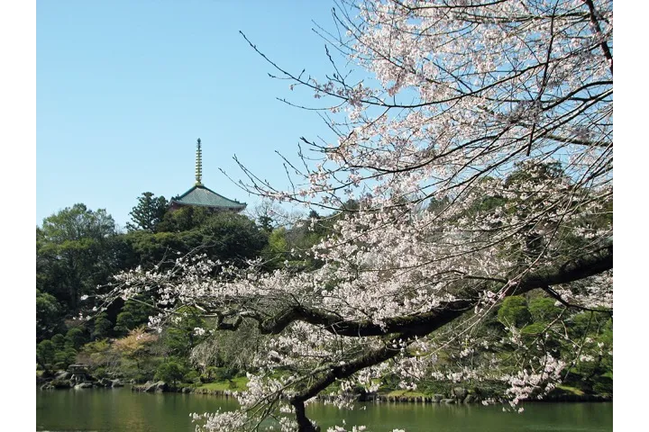 成田市観光協会