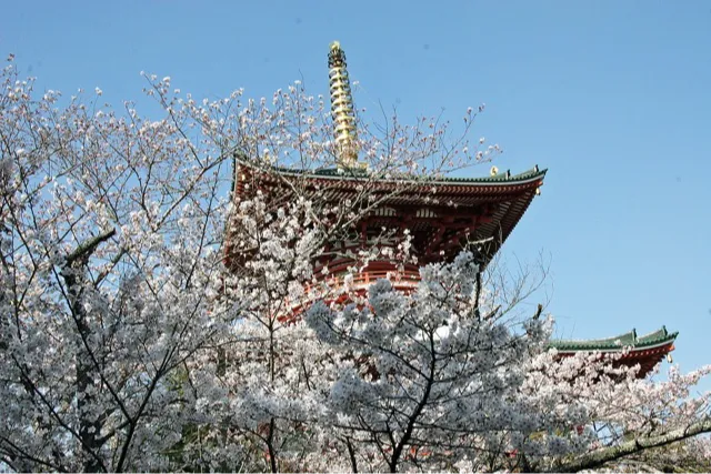 成田市観光協会