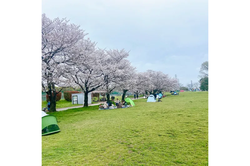 埼玉県 県民健康福祉村_1