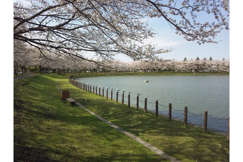 埼玉県 県民健康福祉村_3
