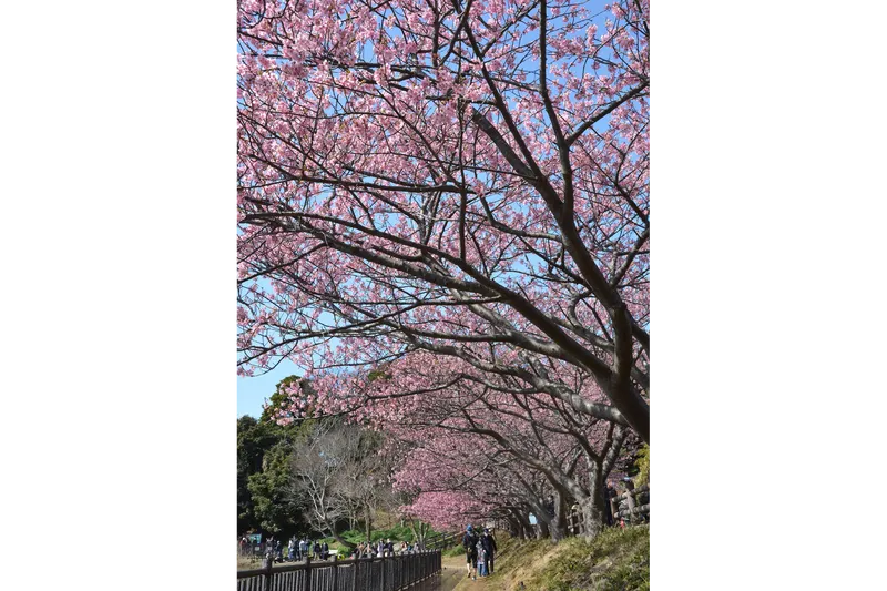 【地域賞】 賑わいの小松ヶ池