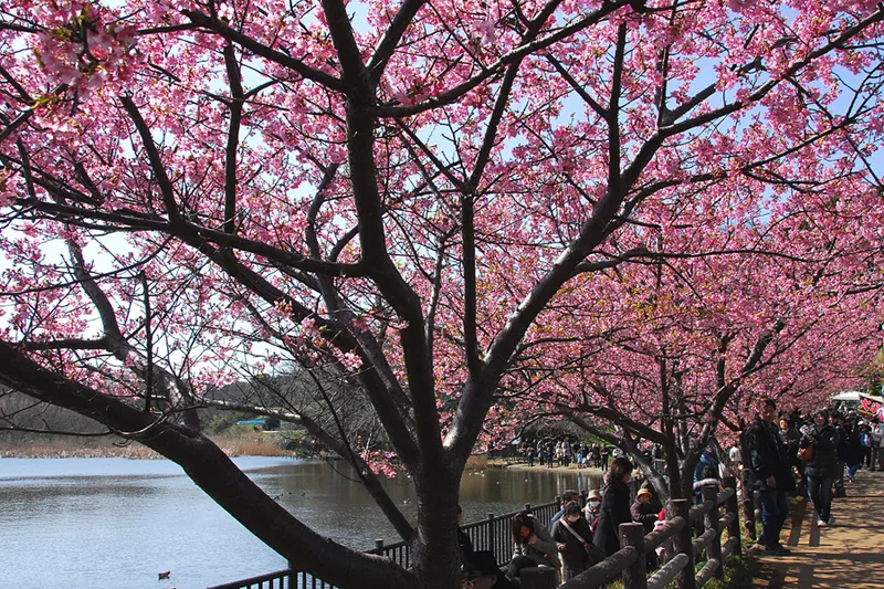 早春のにぎわい