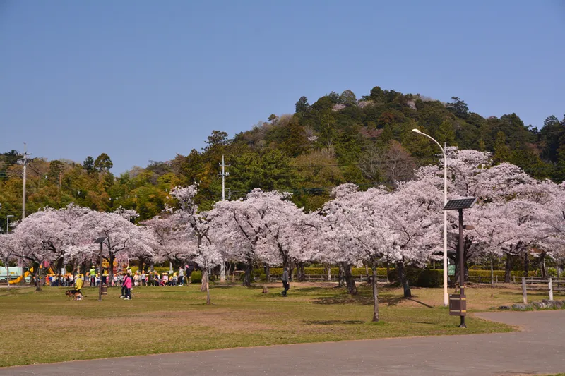 天覧山の麓に広がる芝生の公園です