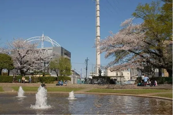 天沼弁天池公園の桜・花見情報_1