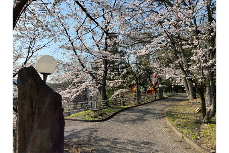 嘉多山公園の桜・花見情報_1