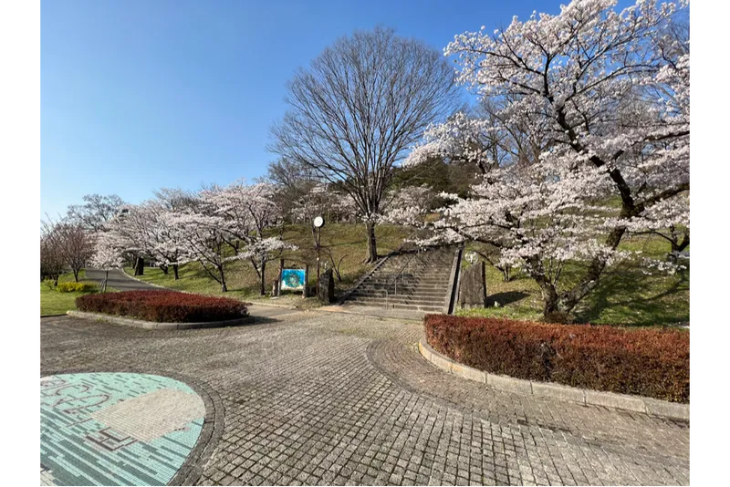嘉多山公園の桜・花見情報_2
