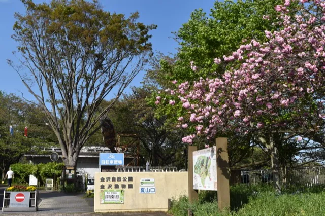 金沢自然公園_1