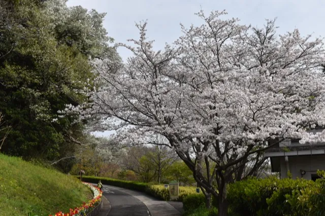 金沢自然公園_3