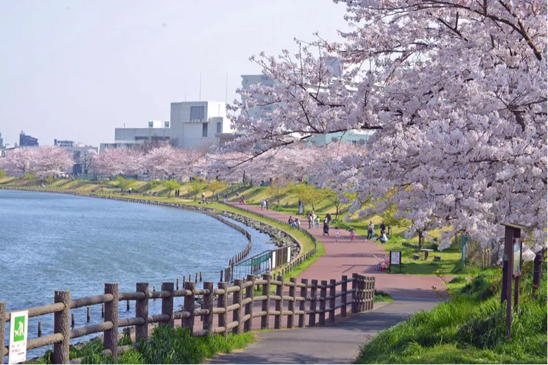 旧中川水辺公園_1