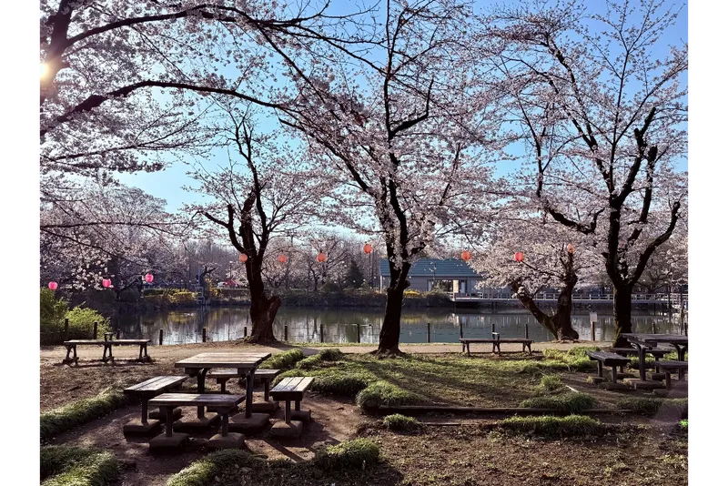 鶴ヶ島市運動公園_1