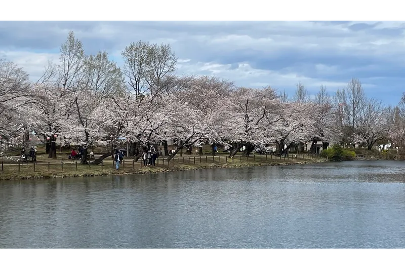 鶴ヶ島市運動公園_2