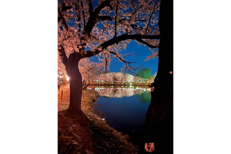 鶴ヶ島市運動公園_4