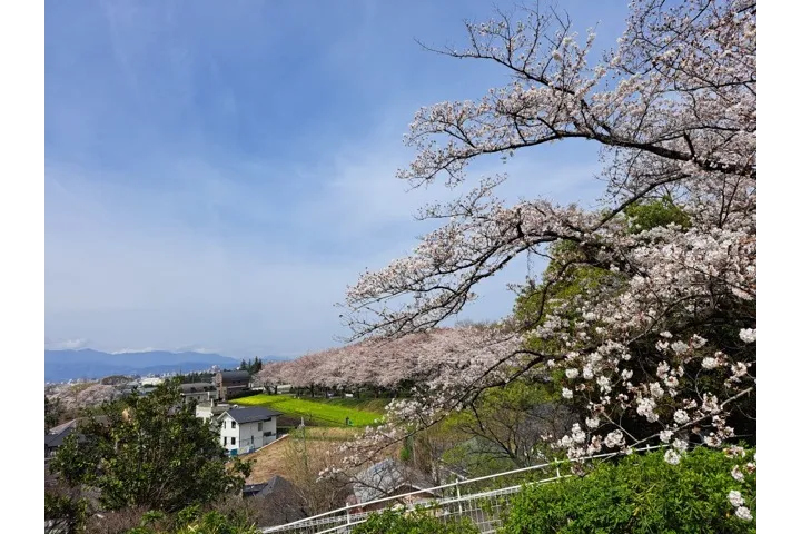 尾根緑道_2