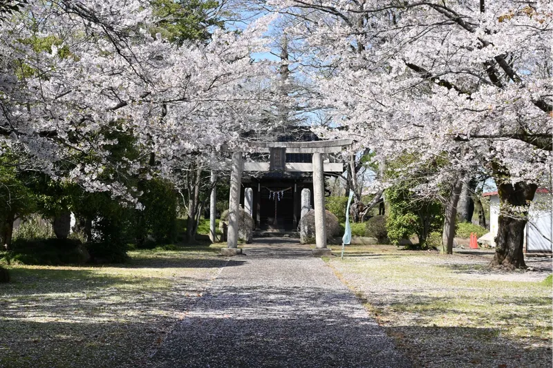 城跡歴史公園の桜・花見情報_1