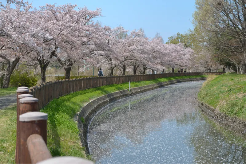 さいたま市より提供（私の好きな見沼たんぼ写真コンクールより　　撮影者：鈴木　薫）