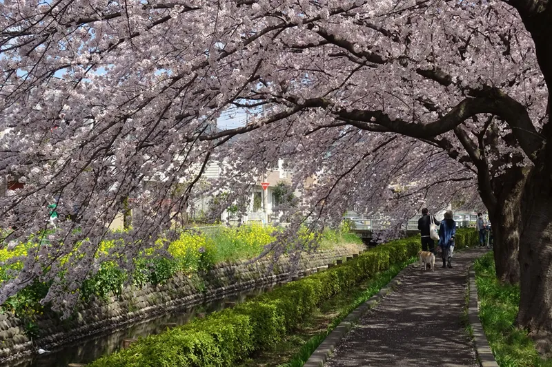 さいたま市より提供（私の好きな見沼たんぼ写真コンクールより　　撮影者：徳本　満）