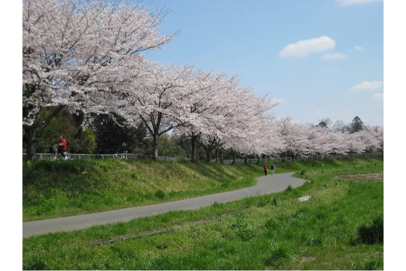 さいたま市より提供（私の好きな見沼たんぼ写真コンクールより　　撮影者：山岸　まさ子）