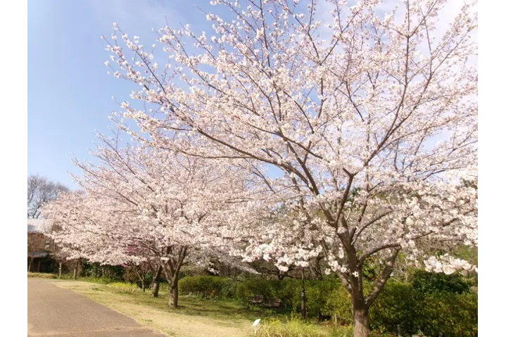 俣野別邸庭園